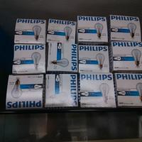 12  lampadine 24 volt