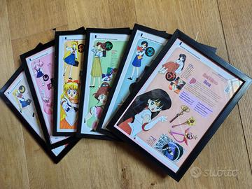 Sailor Moon Set 6 Quadretti da Esposizione