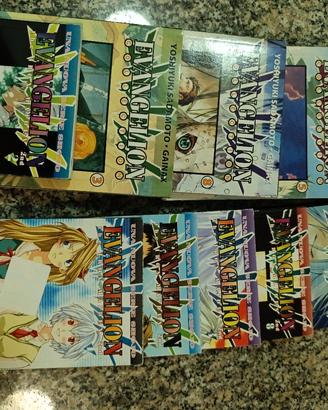 11 albi a disegni  di evangelion  manga