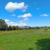 Terreno agricolo in zona strategica