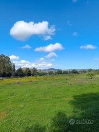 Terreno agricolo in zona strategica