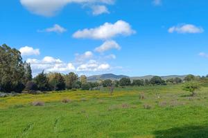 Terreno agricolo in zona strategica