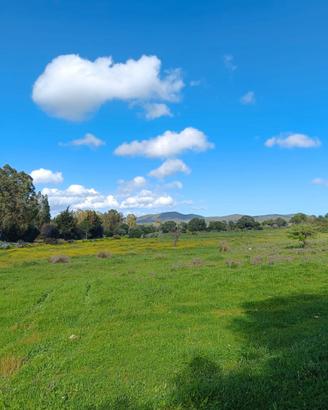 Terreno agricolo in zona strategica