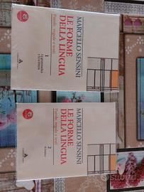 Libri scolastici superiori