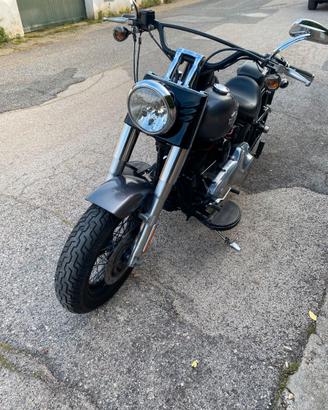 Harley-Davidson softail slim flsl