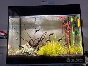 Acquario Askoll Pure Led L