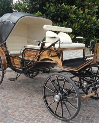 Carrozza per cavalli vis a vis tinta legno