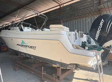 Acquasport 245 explorer + Mercury F250 Verado