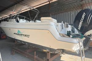 Acquasport 245 explorer + Mercury F250 Verado