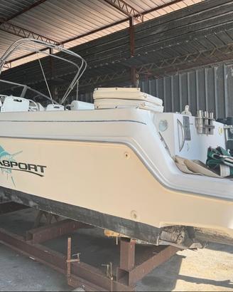 Acquasport 245 explorer + Mercury F250 Verado