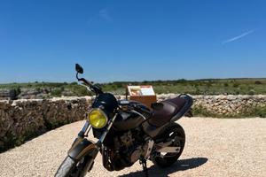 Honda Hornet