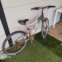 Mountain bike