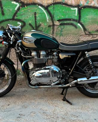 Triumph Bonneville T100 790 cc. Café Racer