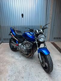 Honda Hornet 600