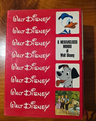 Cofanetto libri Walt disney 