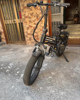 Bicicletta elettrica 500w