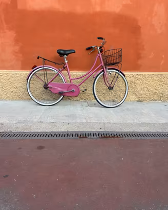 Bicicletta da passeggio da donna stile vintage