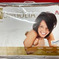 Piumino matrimoniale puro 100%