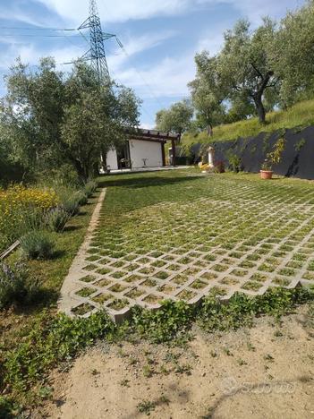 Terreno di 10000 metri in collina la spezia