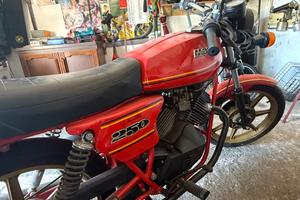 Moto Morini 250 anno 91