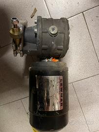 Vericello