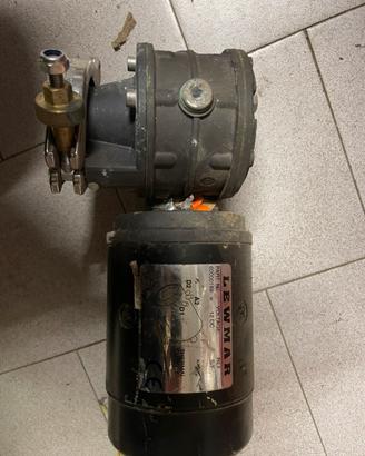 Vericello