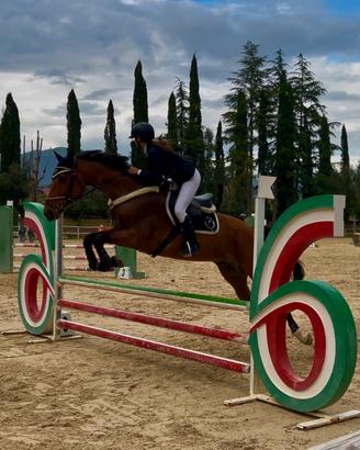 Cavallo