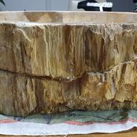 Lavandino in legno fossile