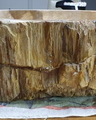 Lavabo in legno fossile