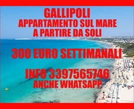 Gallipoli economica casa vacanze 50 metri dal mare