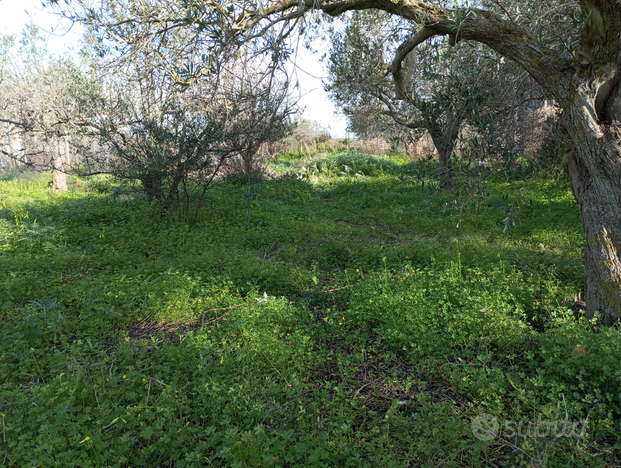 Terreno con pozzo