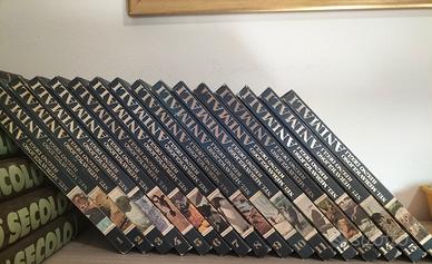 enciclopedia  Curcio editori