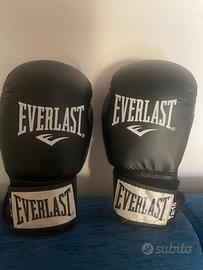 Guantoni box EVERLAST