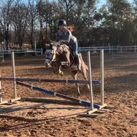 Super pony 145cm 6 anni