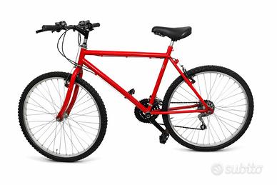 Bici mtb cerchi da 26