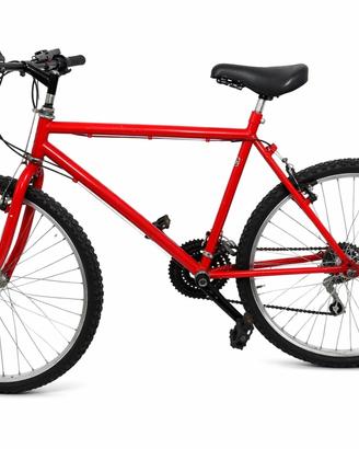 Bici mtb cerchi da 26