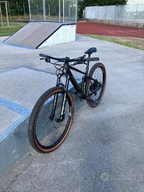 Fourstroke 01 LT TWO