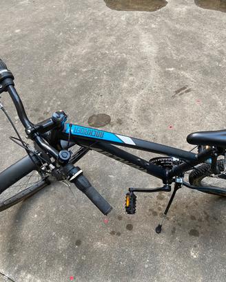 Mountain bike