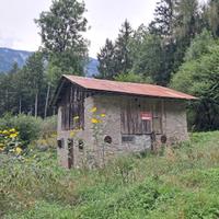 Rustico Autentico con 8000 m² di Bosco a Vigo di C