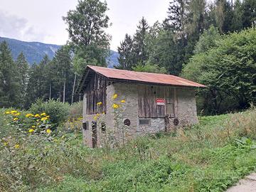 Rustico Autentico con 8000 m² di Bosco a Vigo di C