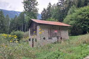 Rustico Autentico con 8000 m² di Bosco a Vigo di C