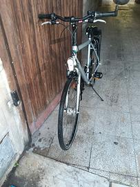Bici brwin grigia