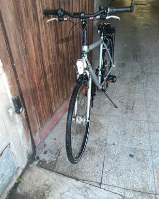 Bici brwin grigia