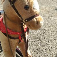 Cavallo a dondolo