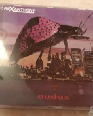 AUDAX_REXANTHONY