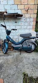 Atala Green