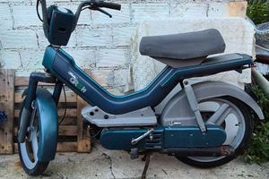 Atala Green