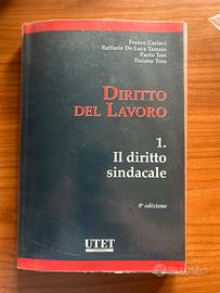 Diritto del lavoro 1. Il diritto sindacale