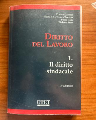 Diritto del lavoro 1. Il diritto sindacale