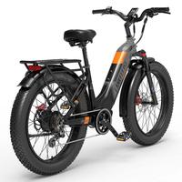 Ebike Trekking con ruote 26” gomme FAT